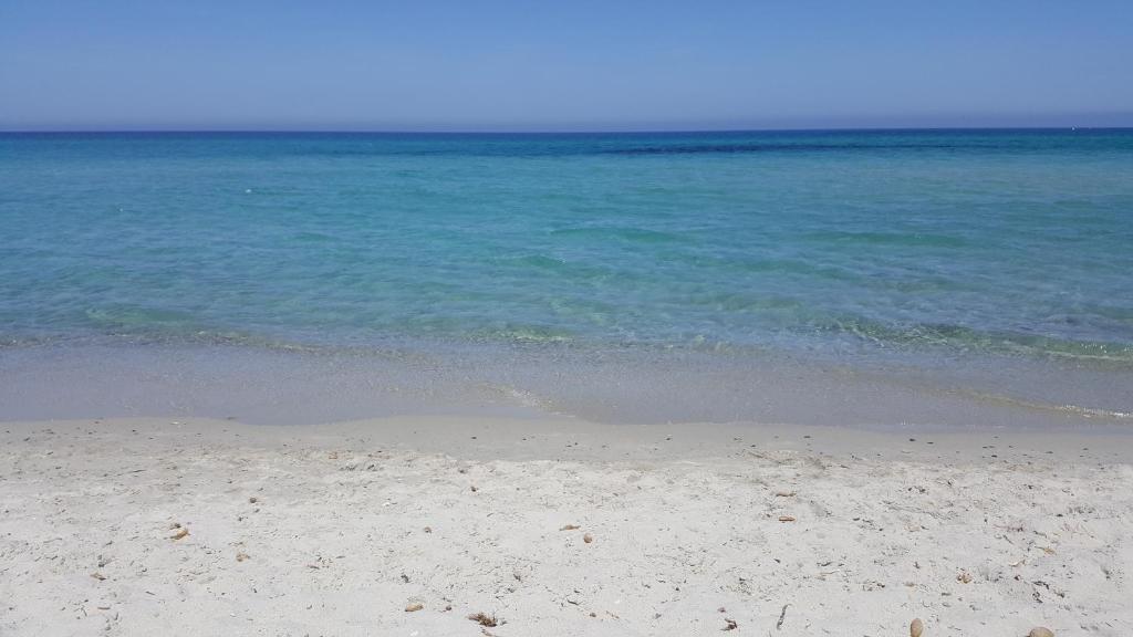 uma praia arenosa com o oceano ao fundo em Villa San Gavino em Budoni