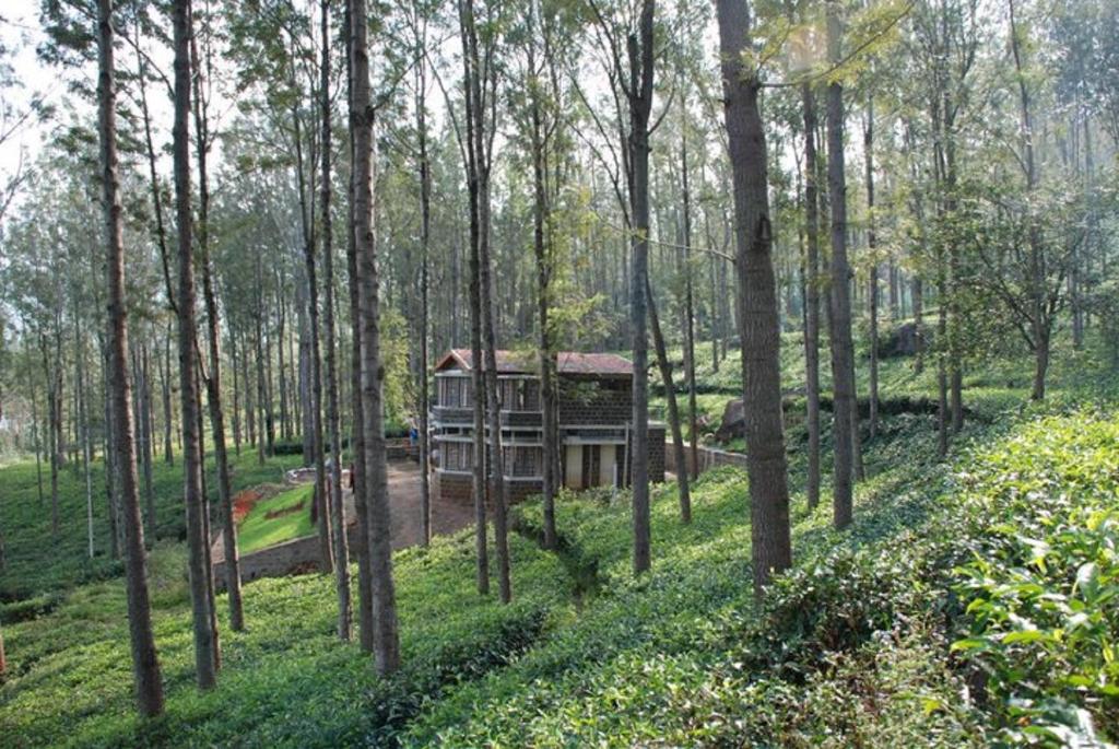 een boomhut midden in een bos bij Relaxing 2 B/R Estate House, Deenaty, Tamil Nadu in Coimbatore