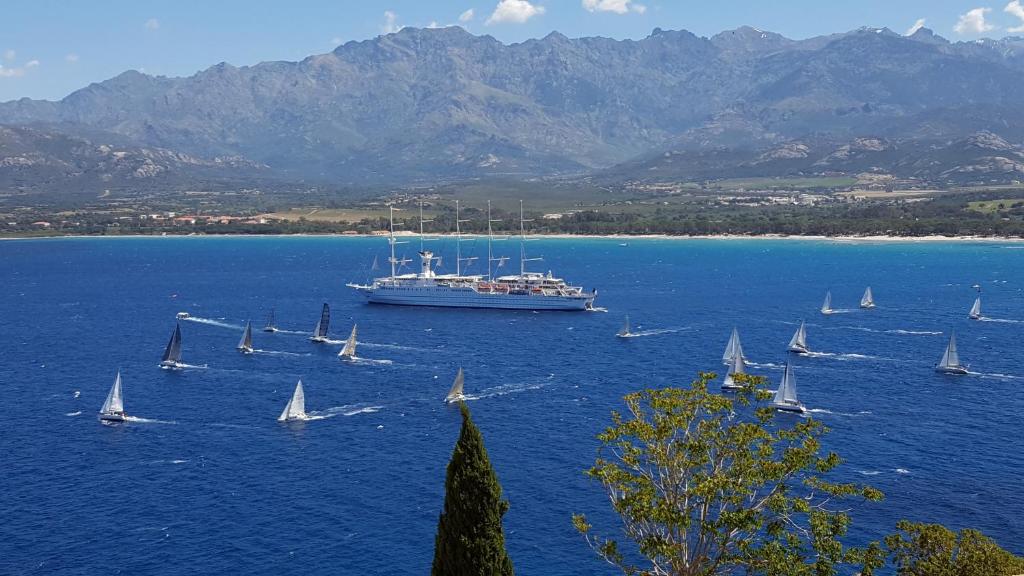 ein großes Boot in einem großen Wasserkörper mit Segelbooten in der Unterkunft Casa ANNA in Calvi