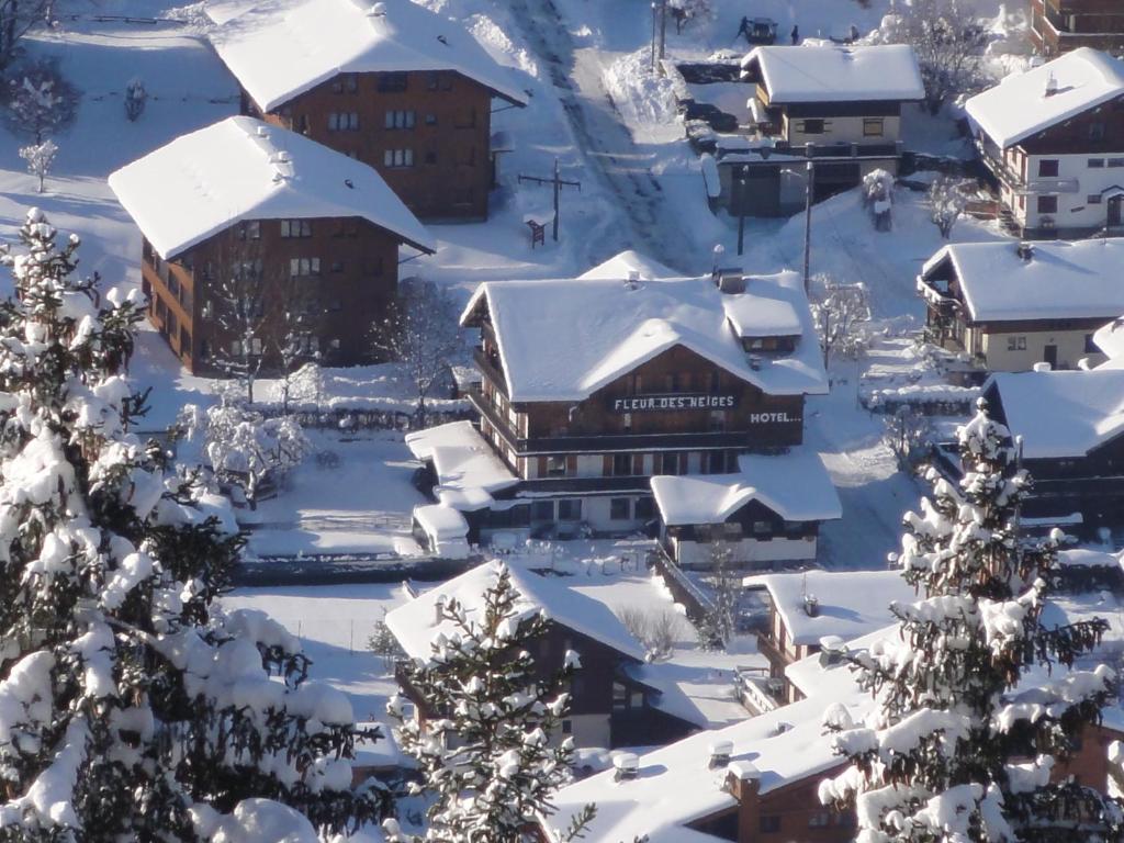 Fleur des Neiges v zimě