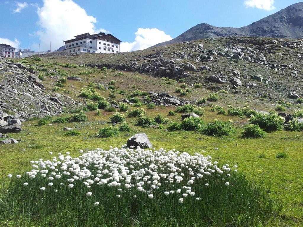 Foto dalla galleria di Hotel Folgore a Passo Stelvio