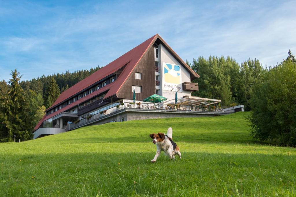 Imagem da galeria de Hotel Duo em Horní Bečva