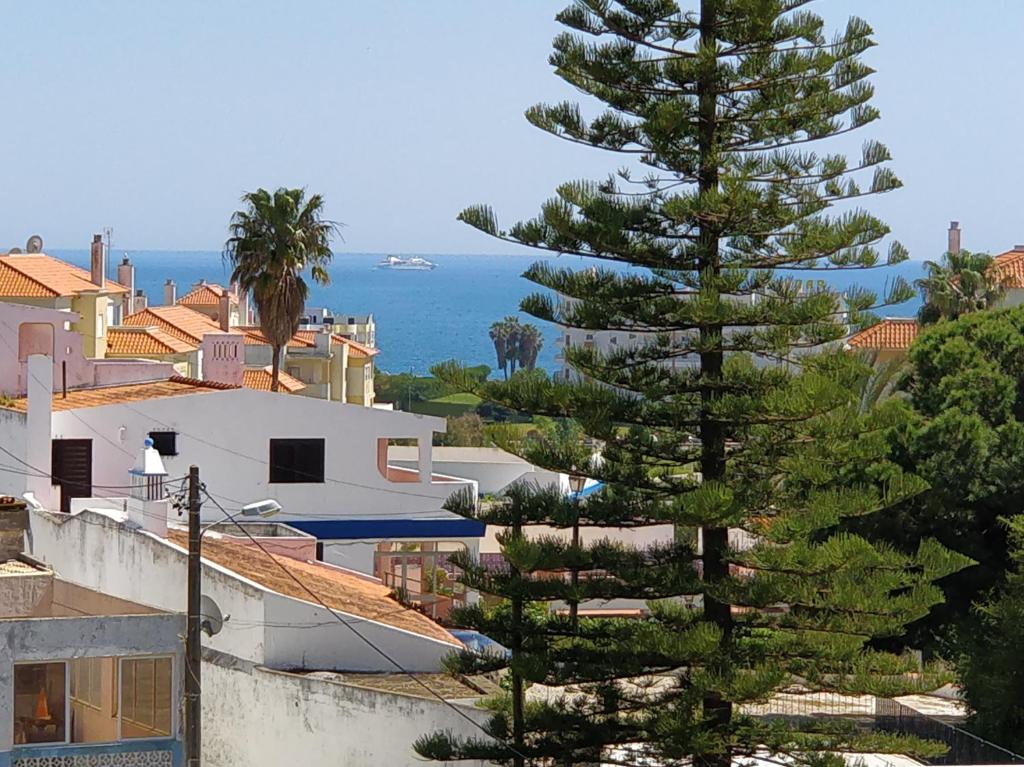 un pino en medio de una ciudad en Refugio Praia da Rocha, en Portimão