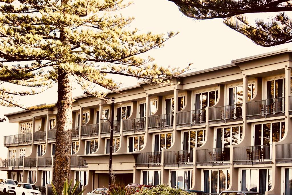 ein Apartmenthaus mit einem Baum davor in der Unterkunft The Nautilus in Napier