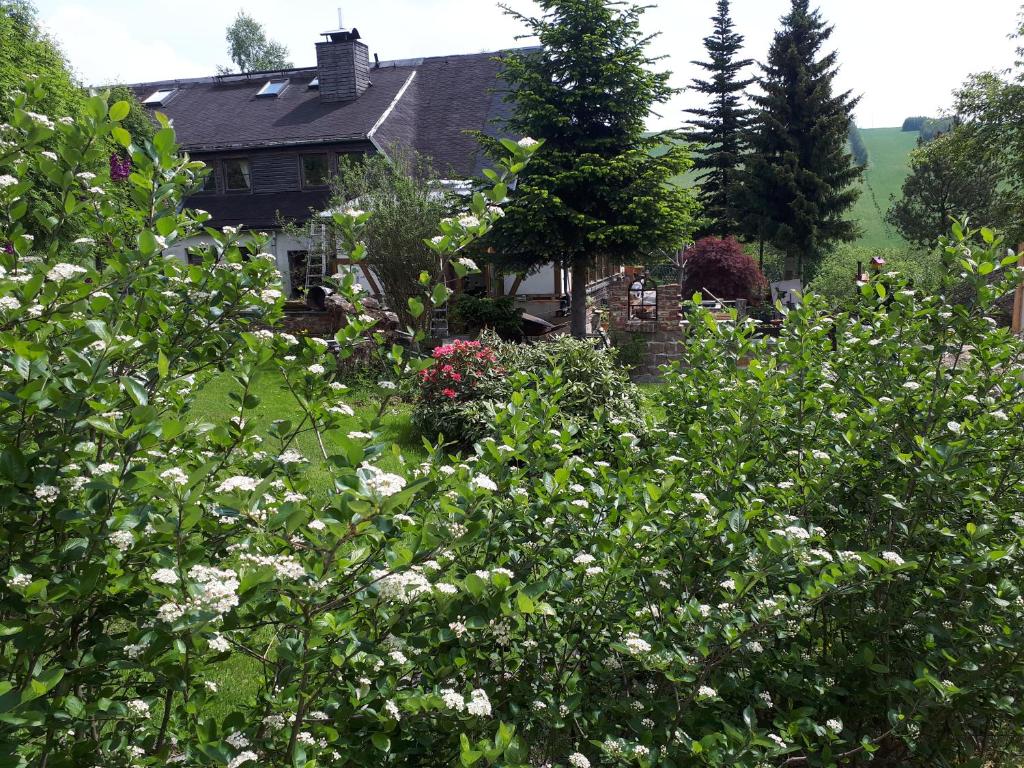 En trädgård utanför Ferienwohnung Aronia Garten