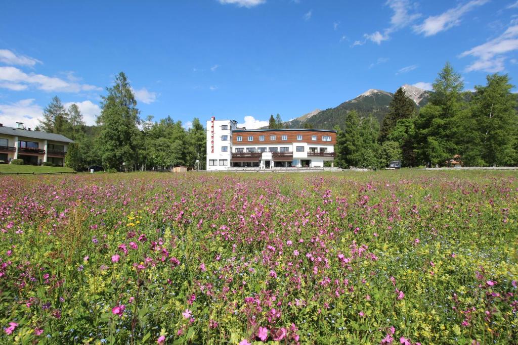 Aed väljaspool majutusasutust Hotel Berghof