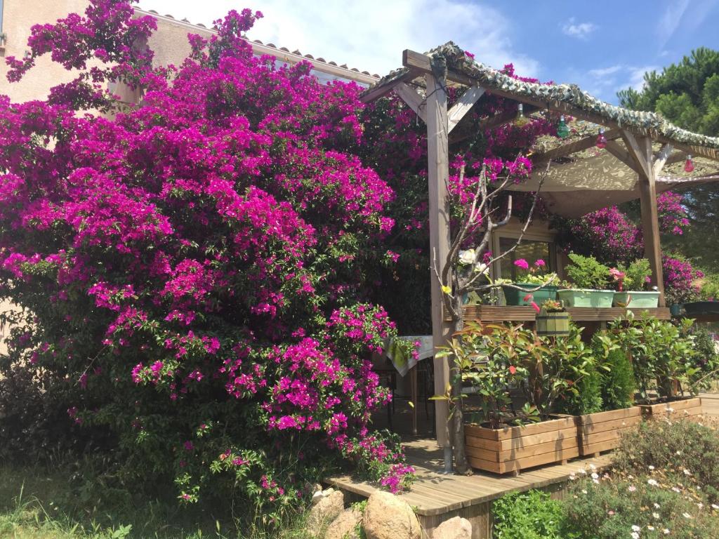 Jardí fora de B&B Macchia Verdata avec piscine