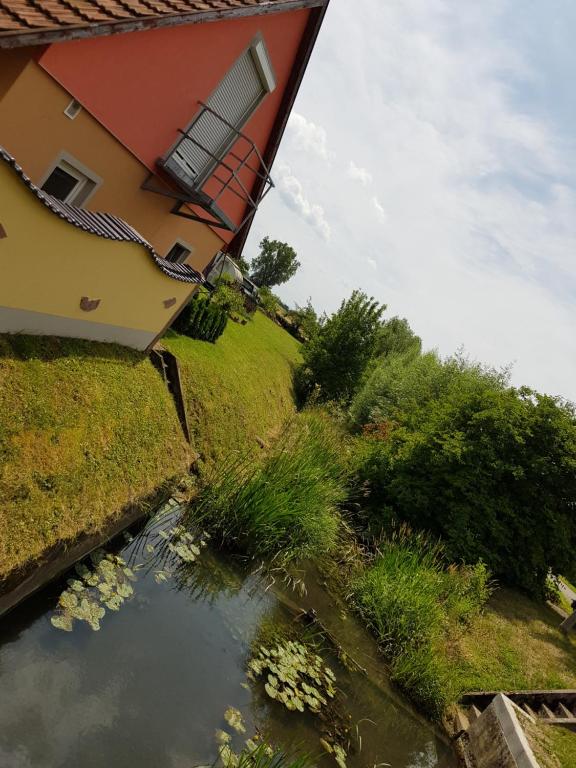 une maison et un étang en face d'un bâtiment dans l'établissement Ferienwohnung an der Unditz, à Neuried