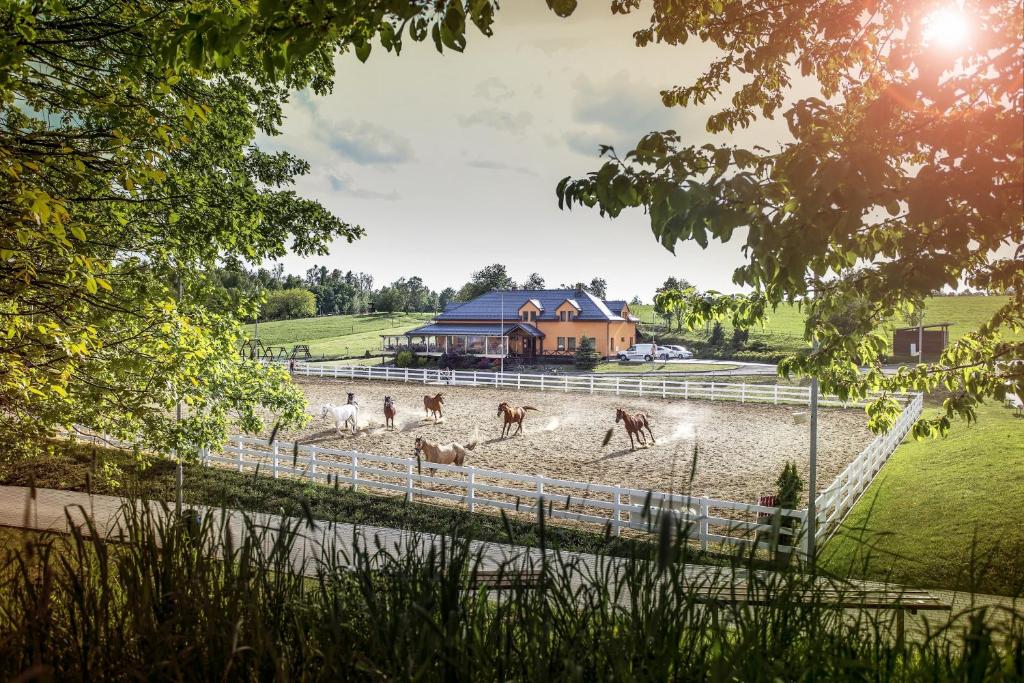 Gäster på Hotel Horse Riding - Jezdecký Areál Tršice