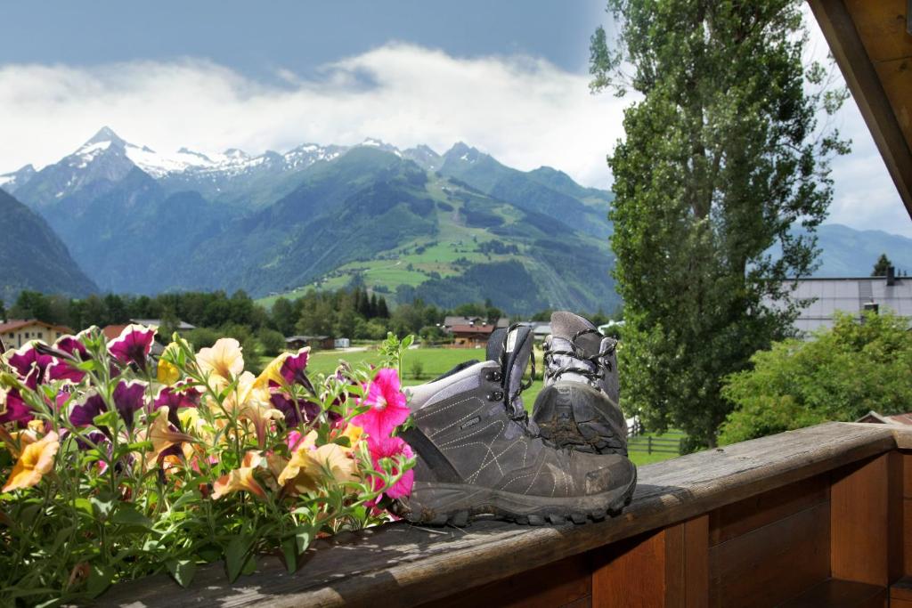 una bota sentada en una cornisa con flores en Haus Südblick, en Zell am See