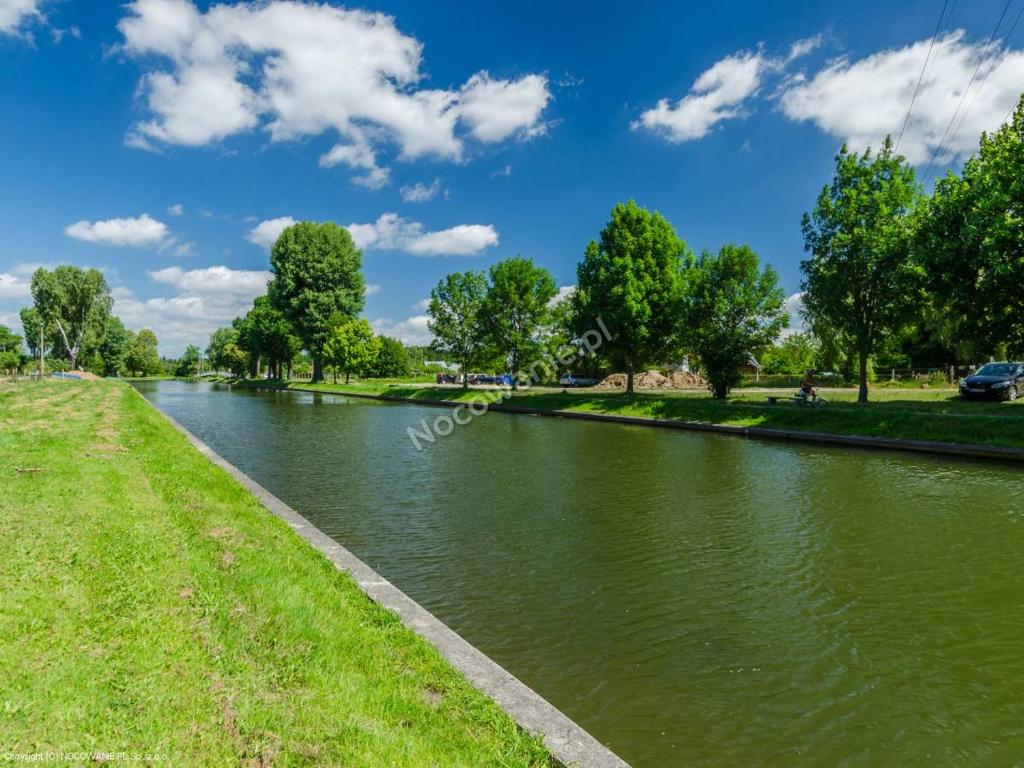 une rivière dans un parc avec de l'herbe verte et des arbres dans l'établissement Domek nad Kanałem Łuczańskim, à Giżycko