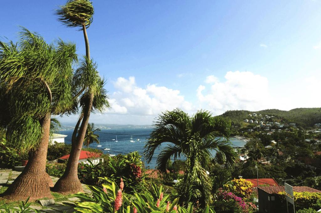 Blick auf das Meer von einem Resort mit Palmen in der Unterkunft Le Panoramic in Les Trois-Îlets