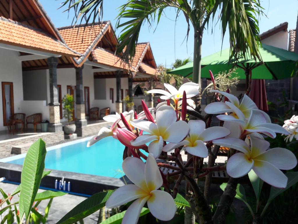 A piscina localizada em Miko Bali Bungalow ou nos arredores