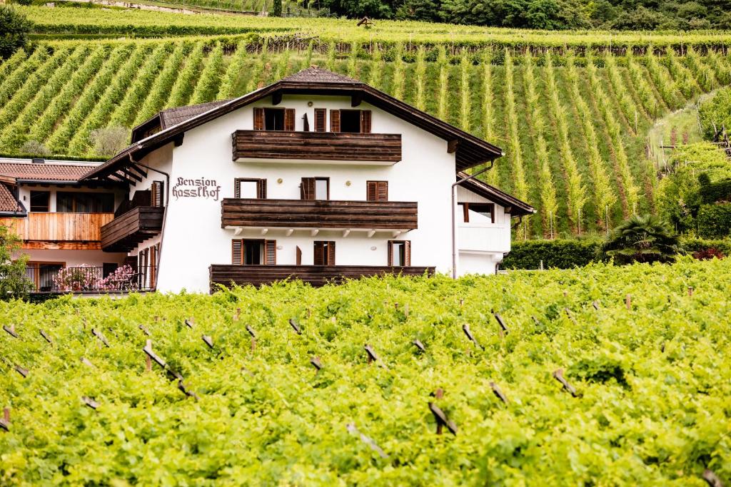 a white house in the middle of a vineyard at Pension Hasslhof in Caldaro