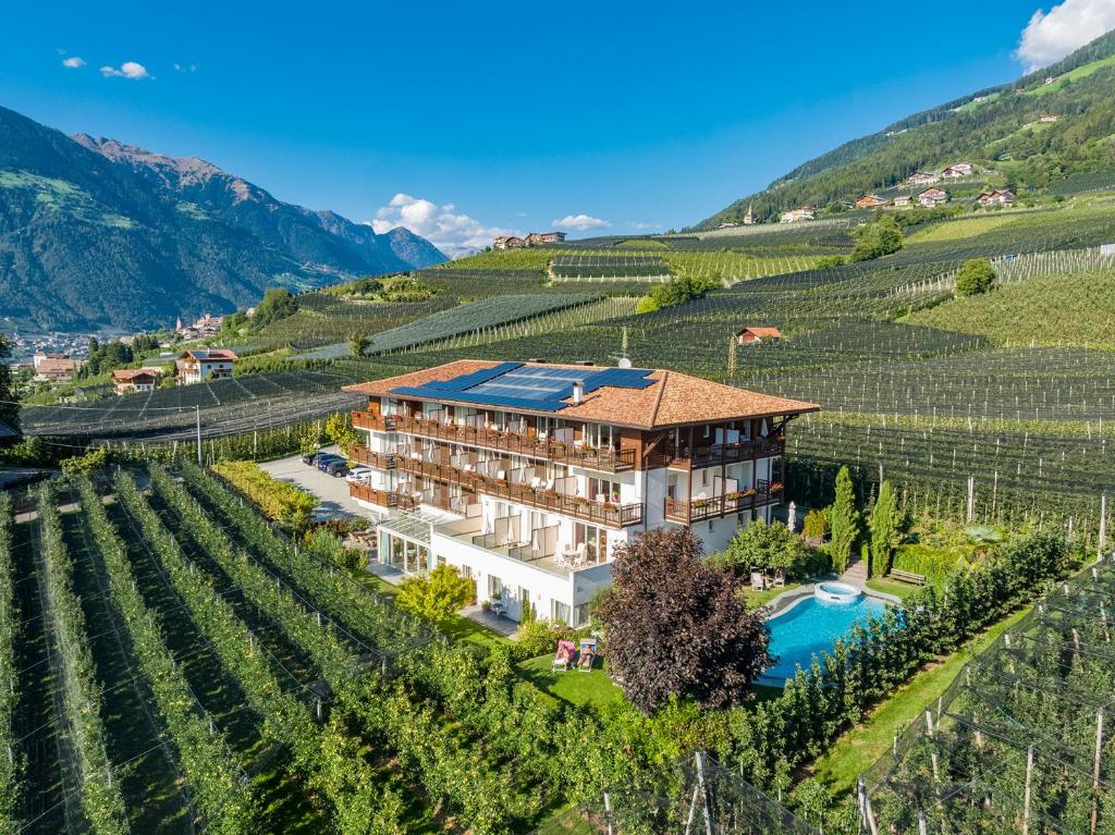 una vista aerea di una villa in un vigneto di Feldhof Schenna a Scena