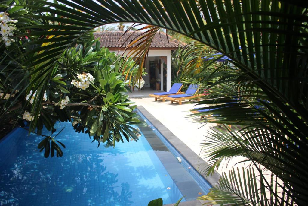 vista su una piscina con palme di Indigo Bungalows a Gili Trawangan