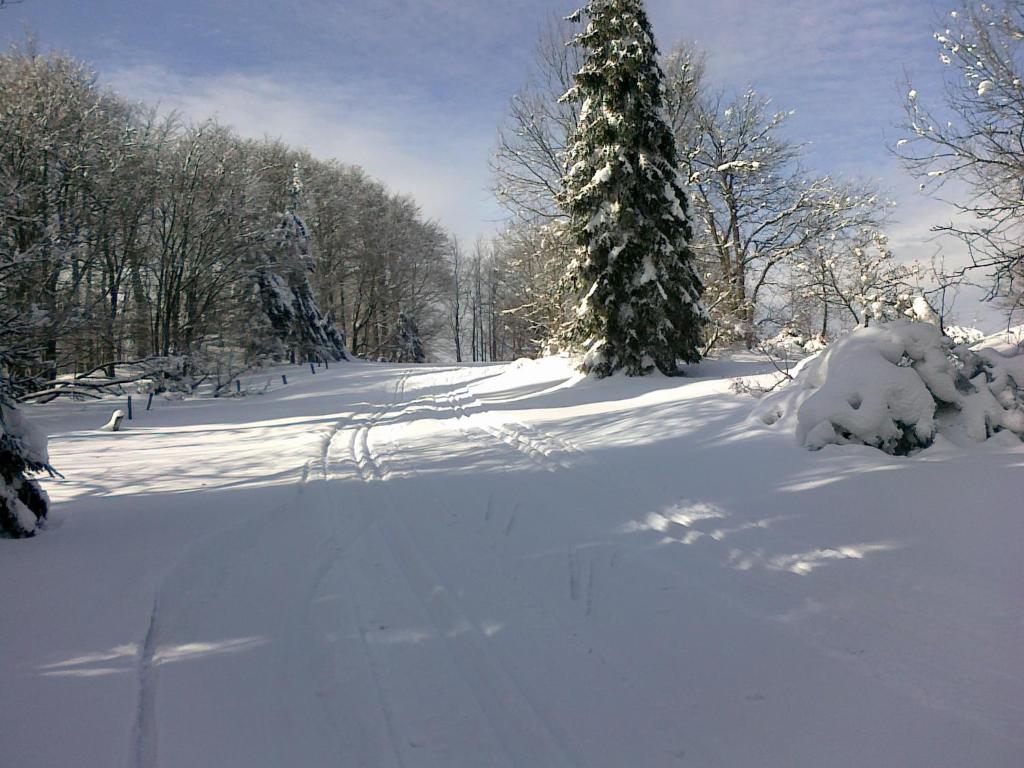 Apartmány Polevsko durante o inverno