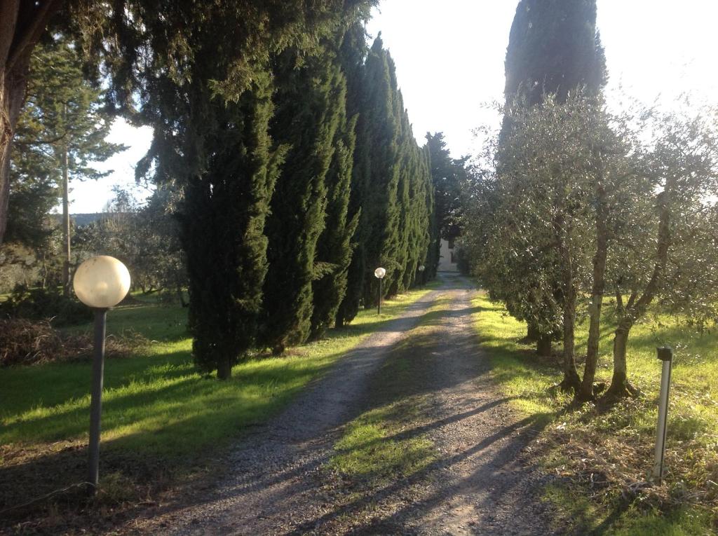 een onverharde weg met bomen aan weerszijden bij Sunshine Suites in Florence