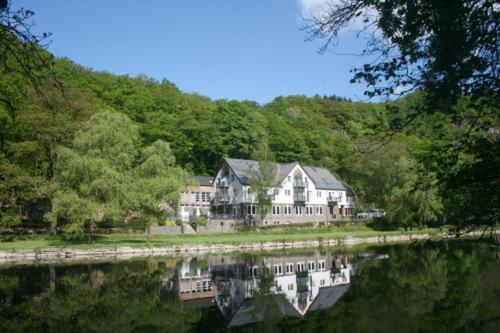 uma casa grande na costa de um corpo de água em Cocoon Hotel La Rive em Bourscheid