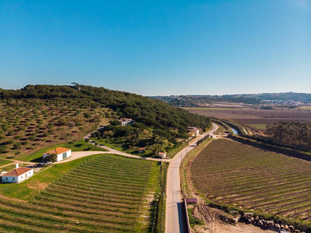 una vista aérea de una carretera junto a un viñedo en Casa Rústica, perto do Castelo de Óbidos, en Óbidos