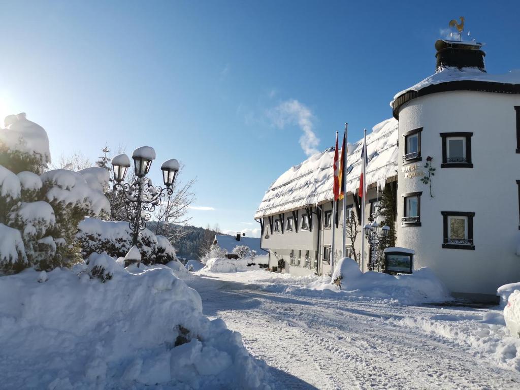 Parkhotel Flora am Schluchsee зимой