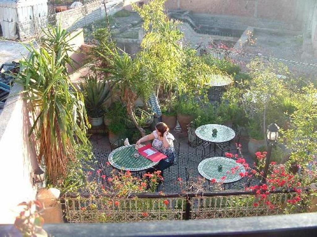 Kebun di luar Riad Hôtel Belleville Marrakech