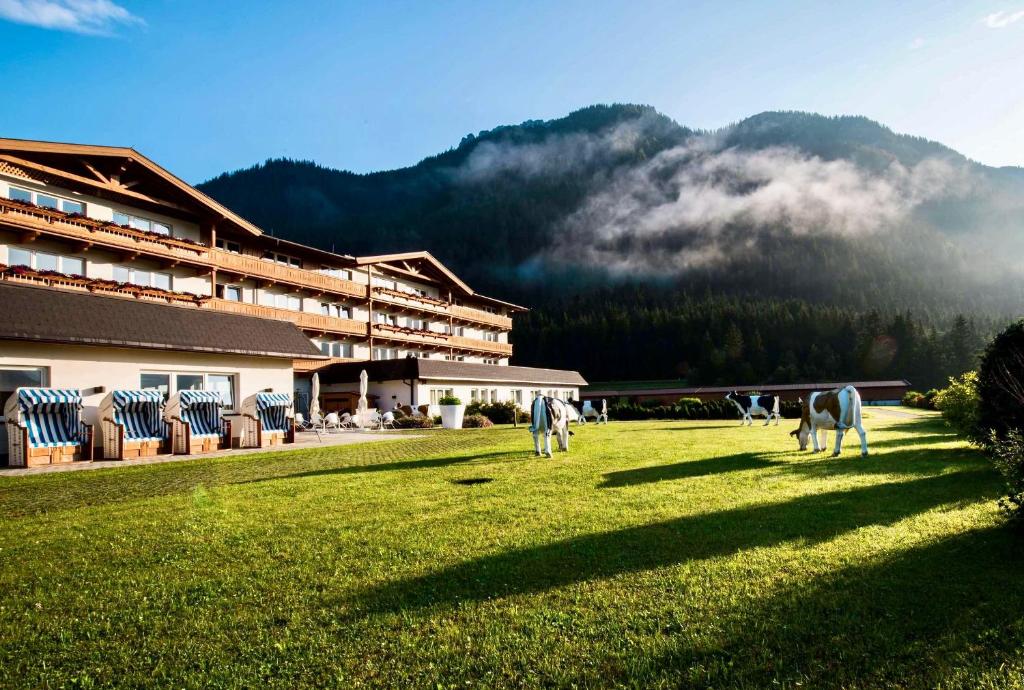 zwei Pferde, die auf einem Feld vor einem Gebäude grasen in der Unterkunft elaya hotel steinplatte ehemals KUHOTEL by Rilano in Waidring