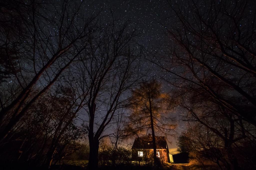 Mynd úr myndasafni af Pike Lake House í Borre