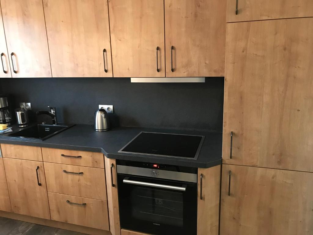 Una cocina o kitchenette en Zentrum Apartment Bad Schandau