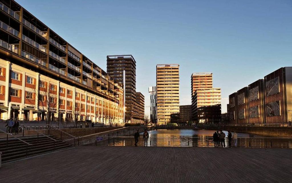 um horizonte da cidade com edifícios altos e um rio em Médicis Home Strasbourg em Estrasburgo