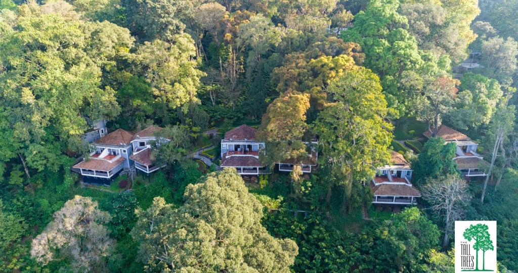 una vista aerea di una casa nella foresta di The Tall Trees a Munnar