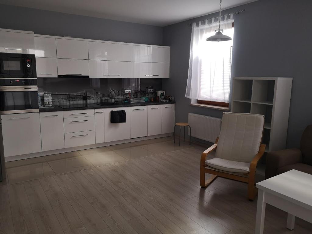 Cuina o zona de cuina de Apartament Południowy