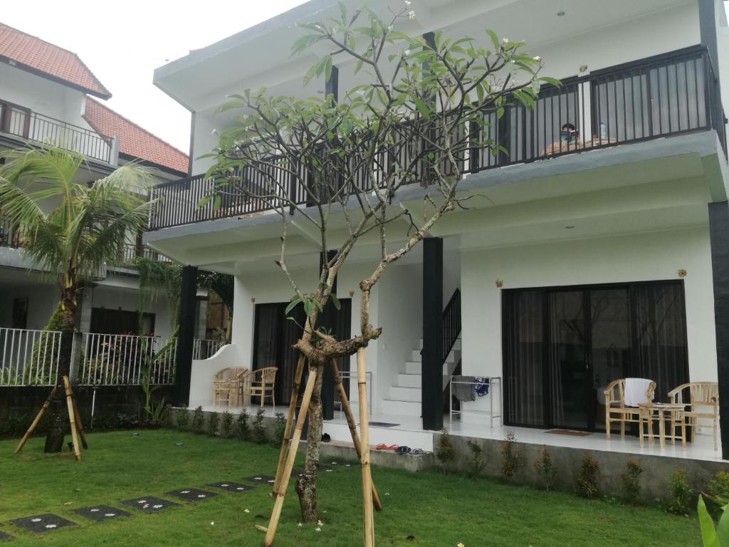 Hello Canggu Homestay tesisinin dışında bir bahçe