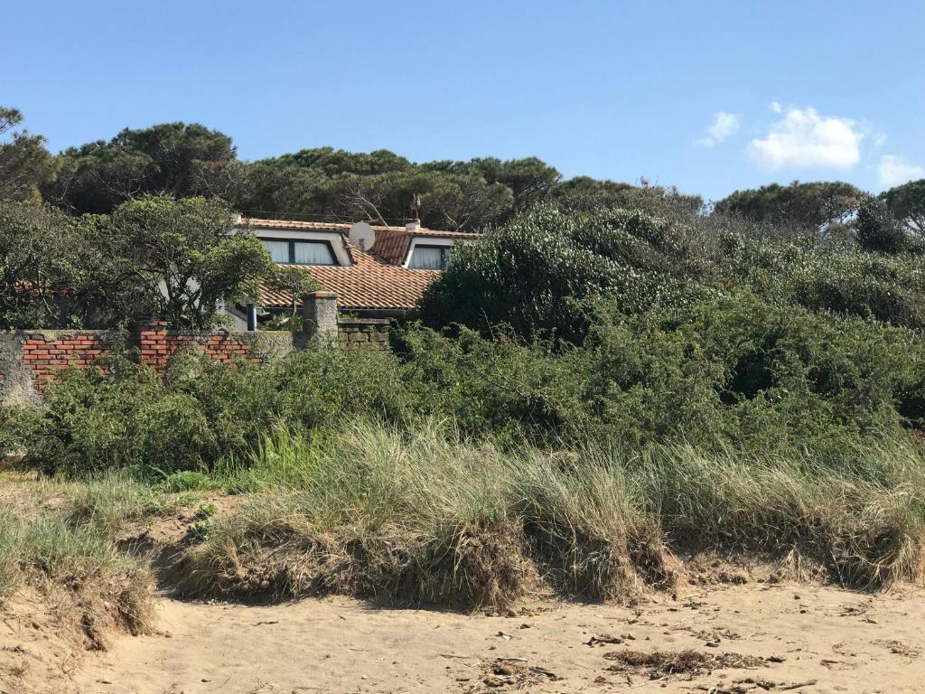 una casa sulla spiaggia con cespugli di Villa Giannella a Orbetello