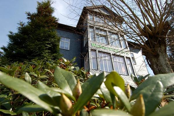 uma casa azul e branca com uma árvore em frente em Pension Waldschlösschen em Friedrichroda