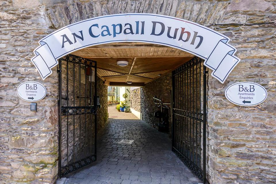 Galerija fotografija objekta Dingle Centre Townhouse An Capall Dubh Dingle u gradu 'Dingle'