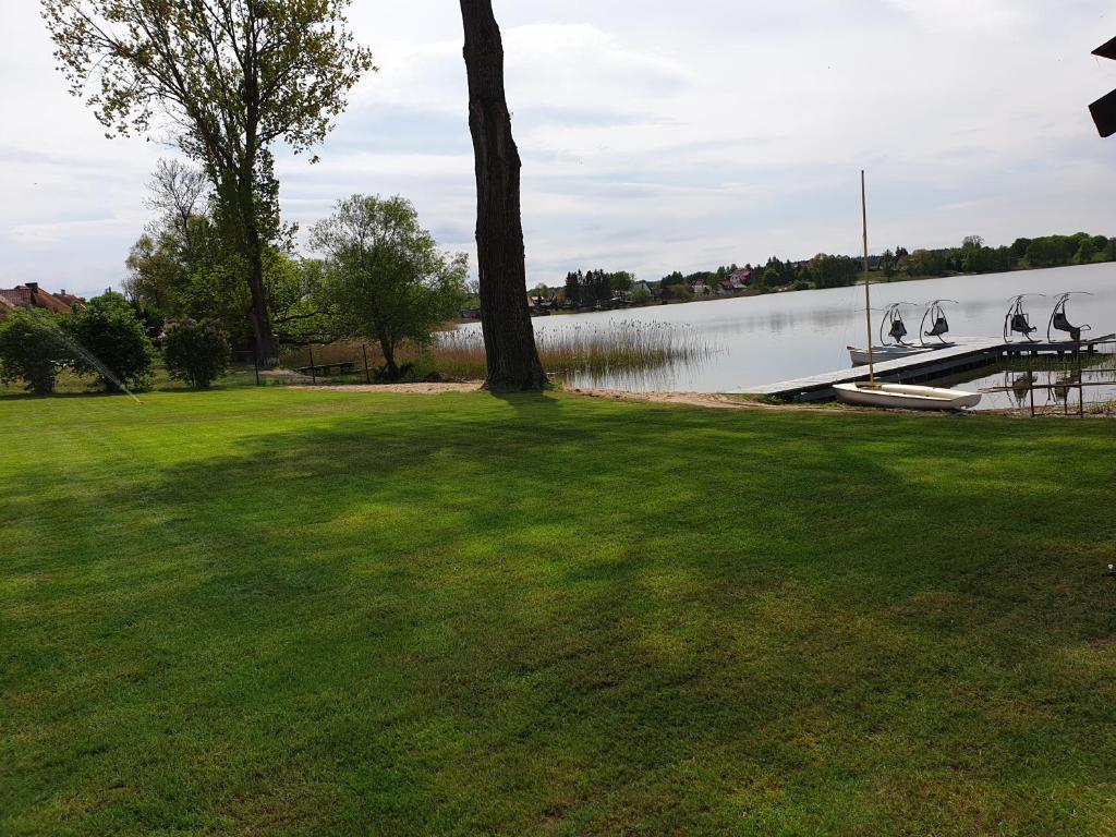 un parco con un albero e una cassa d'acqua di Apartamenty Zełwągi a Mikołajki