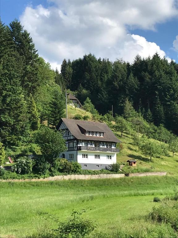 una grande casa bianca su una collina in un campo di Ferienwohnung Hesselbach a Oberkirch