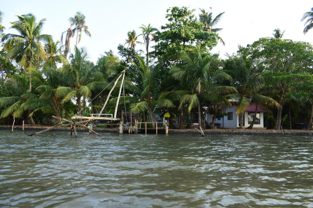 コーチにあるCheenavala Fishing Homestayの椰子の木の水舟