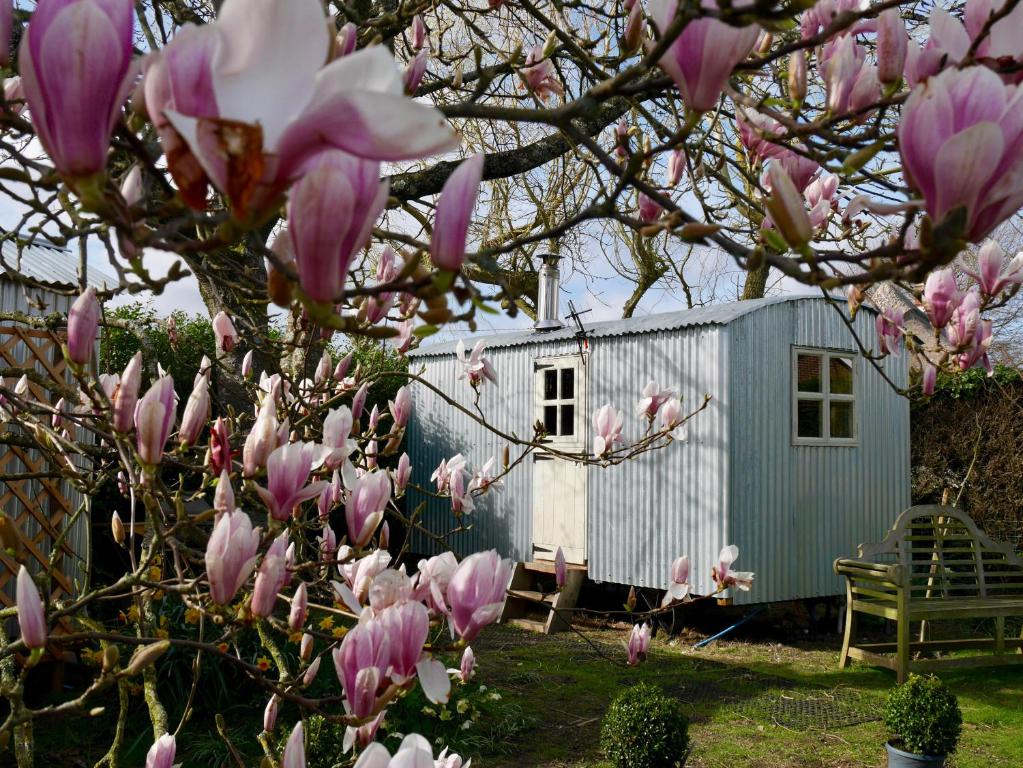 a tree with pink flowers in front of a shed at The Wayside Shepherd Hut in Beaulieu