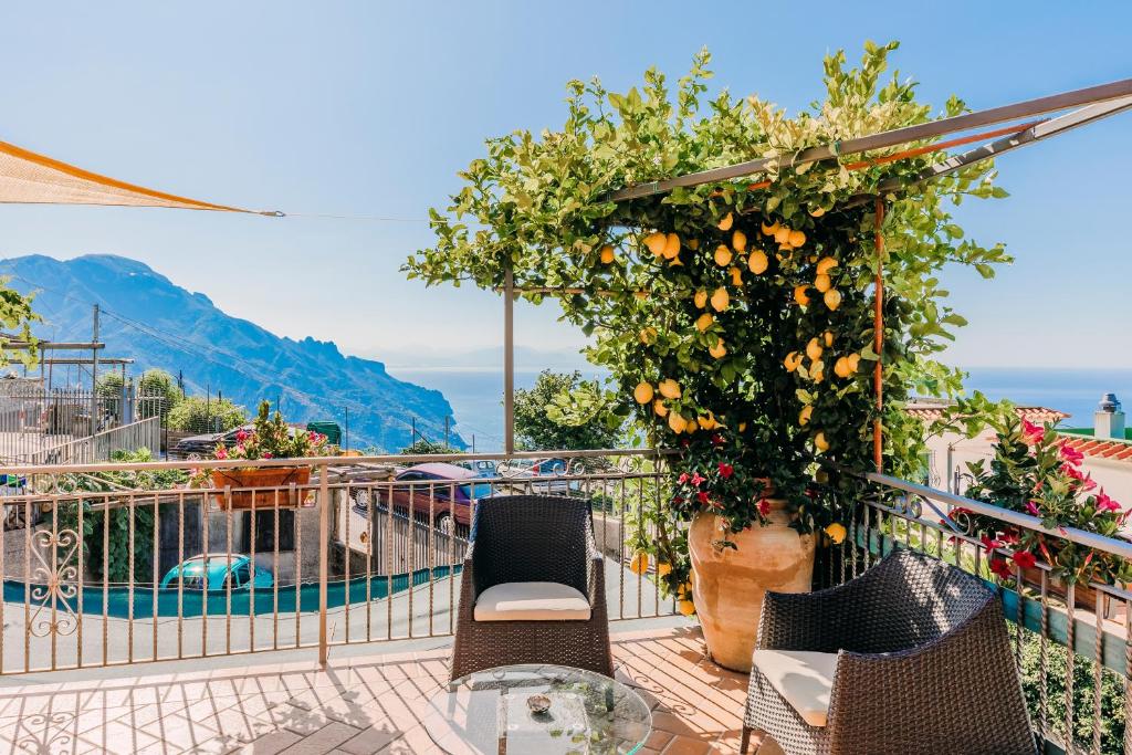 uma varanda com cadeiras, uma laranjeira e uma piscina em B&B IL CORTILE em Ravello