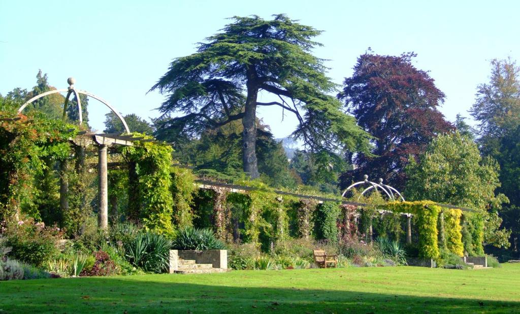 Un jardín fuera de West Dean College