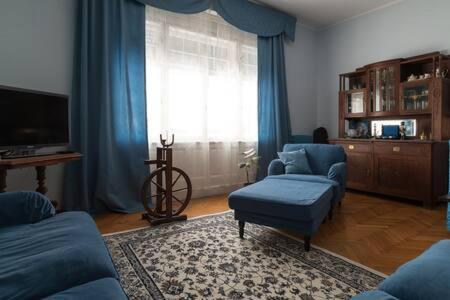 Elle comprend un salon doté d'un mobilier bleu et d'une grande fenêtre. dans l'établissement Vintage Villa Magnolia, à Pula