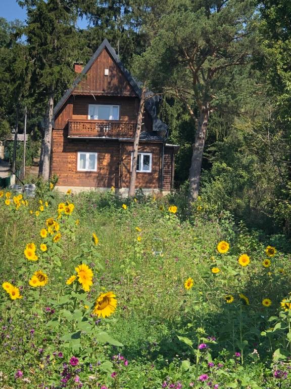 ウィーンにあるVacationhome in the vineyardsの花畑の中の家