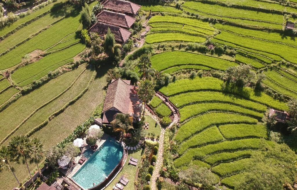 una vista aérea de un complejo con piscina en un campo en Sawah Indah Villa, en Sidemen