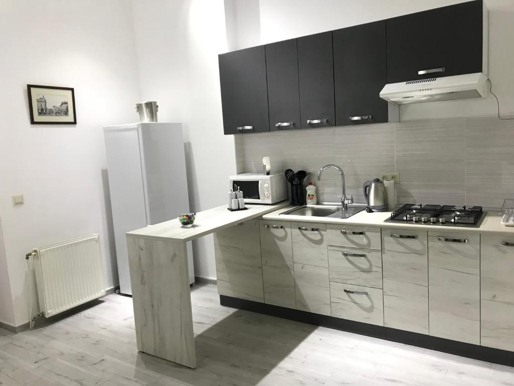 uma cozinha com um lavatório e um frigorífico em Apartment suite Mukachevo em Mukachevo