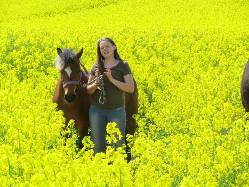 SörupにあるFerienhof Martensの黄花畑馬の女