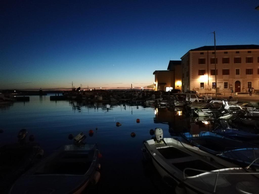 Casa Al Porto Antico في بيران: مجموعة من القوارب رست في الميناء في الليل