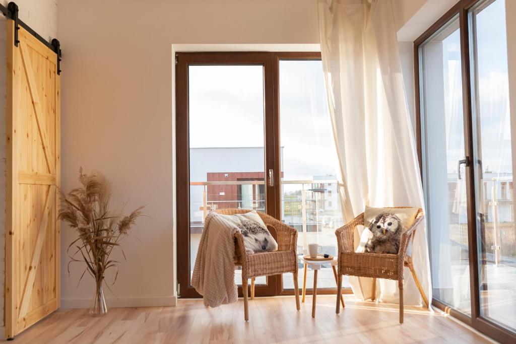 a dog sitting in a chair in front of a window at Eco apartament Nałęczów in Nałęczów