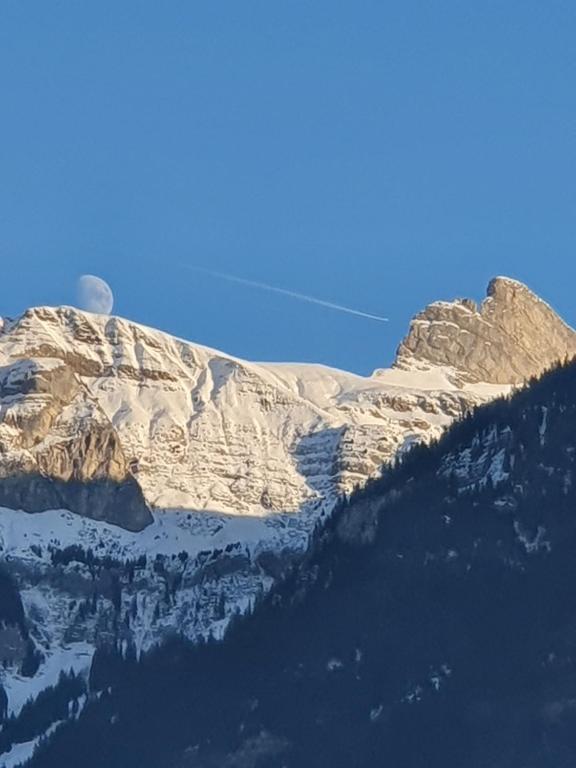 Pogled na planine ili pogled na planine iz apartmana